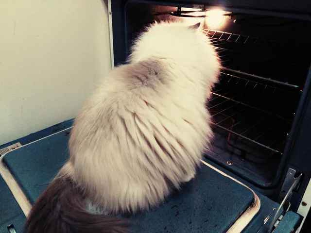 Oven Tubeskin|512x512